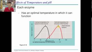 campbell ap bio chapter 8 part 2 [upl. by Bough905]