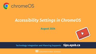 Accessibility Settings in ChromeOS [upl. by Redienhcs394]