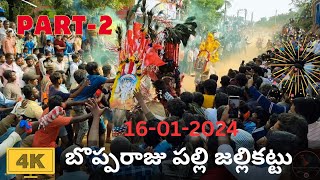 Bopparaju Palli Jallikattu 2024  Full video in 4k Part 2  బొప్పరాజు పల్లి జల్లికట్టు jallikattu [upl. by Ettennan51]