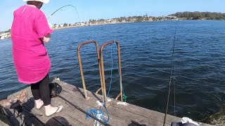 Merimbula Boardwalk Jetty  Trevally Alley [upl. by Rosalie107]