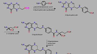 Ceutical III LEC 3 Part 1 Sulphonamide [upl. by Barna]