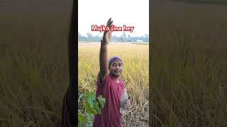 Mujko pina he pineydo myself song funny subscribe everyone likesharesubscribe shortvideo [upl. by Annahsed]