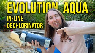 Evolution Aqua Detox Inline Pond Dechlorinator Review [upl. by Thorin]