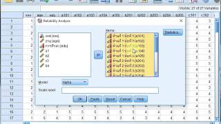 การใช้โปรแกรม SPSS ตอนที่ 5 Reliability ค่าความชื่อมั่น [upl. by Iborian]