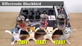 Effectrode BLACKBIRD 真空管交換の比較動画 [upl. by Vershen263]