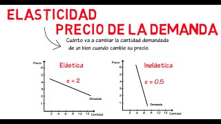 Elasticidad de la demanda  Cap 6  Microeconomía [upl. by Sira]