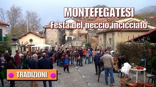 MONTEFEGATESI LU Festa del Neccio Incicciato  di Sergio Colombini [upl. by Ailedroc]