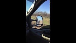 60 F250 Powermax turbo cruising around straight pipe [upl. by Onihc]