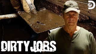 Mike Rowe Makes Farm Fresh Deer Urine  Dirty Jobs [upl. by Radie703]