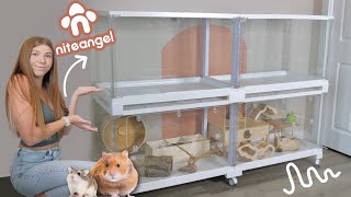 NiteAngel Stacker Series Hamster Cage Review [upl. by Rhodia741]