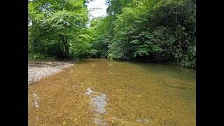 Towee Creek Swimming [upl. by Nordin]