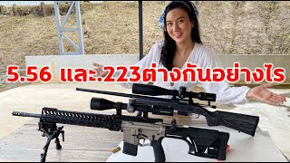 ทดสอบปืนขนาด 556 และ 223 แตกต่างกันอย่างไร556 VS 223 [upl. by Gibbons]