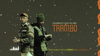 Amarion x Omy de Oro  Trambo Audio [upl. by Adena]