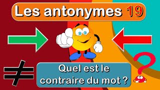 Quel est le Contraire des Mots  Jeux de français  les antonymes [upl. by Kacerek452]