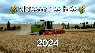 Moisson des blés 2024🌾 [upl. by Gyimah395]