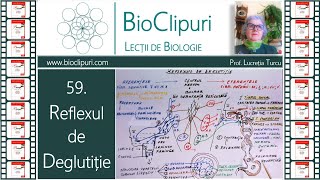 59 Reflexul de deglutiție Corint [upl. by Imelda]