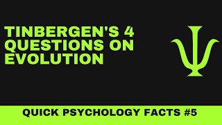 Tinbergen’s 4 questions on Evolution [upl. by Jarlathus816]