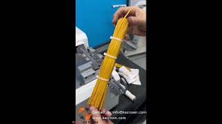 Plastic Reel Fed Cable Ties Dispenser WLLD200  Suzhou Crown [upl. by Irakab]