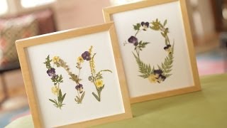 Pressed Flowers DIY [upl. by Oram]