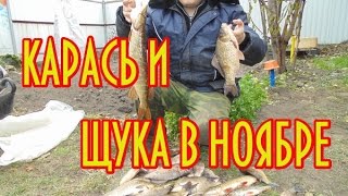 Ловля больших карасей на мормышкущука на блесну [upl. by Nahtanaoj669]