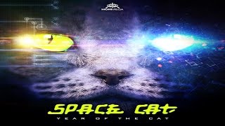 Space Cat  Loops of Insanity [upl. by Cissy]