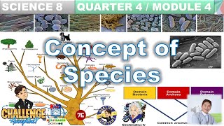 Concept of Species Science 8 Quarter 4 Module 4 Taxonomy Classification DomainsKingdomSpecies [upl. by Aenet]