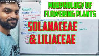 Morphology of flowering plants  Solanaceae and Liliaceae [upl. by Leta]