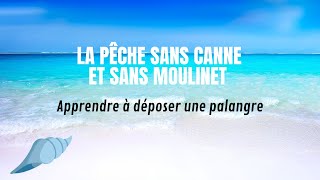 La pêche en bord de mer pour les débutants  la palangre [upl. by Jillie]