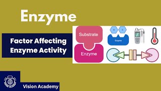 Enzyme Inhibitors  Factor Affecting Enzyme Activity  Vision Academy [upl. by Luttrell]