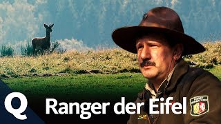 Wie Ranger den Nationalpark Eifel zurück zur Natur bringen  Quarks [upl. by Borroff]