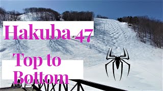 Hakuba 47  Top to Bottom tips that you will want to know before you go [upl. by Ativoj]