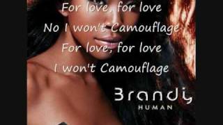 Brandy Camouflage with lyrics [upl. by Ydnam]