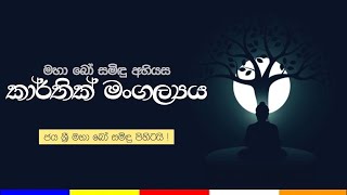 මහා බෝ සමිදුන් අභියස පැවැත්වූ කාර්තික මංගල්‍යය [upl. by Yenor]