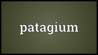 Patagium Meaning [upl. by Paige350]