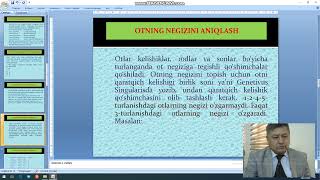 4DARS OT OTNING GRAMMATIK KATEGORIYALARI LUGʻAT SHAKLI HAQIDA TUSHUNCHA OTLARNING TURLANISHI [upl. by Anyl465]