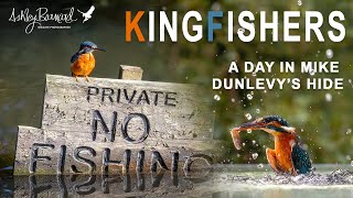 Photographing Kingfishers  Mike Dunlevy Hide [upl. by Hanan]