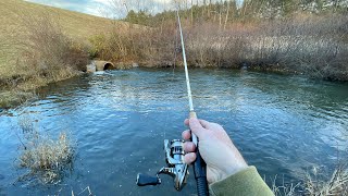 Fishing a Tiny Spillway for TROUT [upl. by Kreager482]