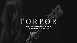 Torpor  Live at DIY Space For London 2018 Full Show [upl. by Noraj]