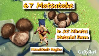 67 Matsutake in 25 Minutes Monstadt Region Material Farm  Genshin Impact [upl. by Obie]