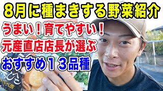 秋冬野菜栽培スタート！8月に種まきする野菜紹介 おすすめ品種１３品種厳選 [upl. by Eissim]