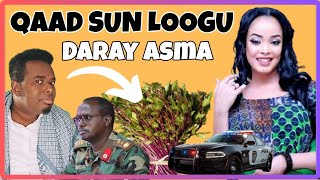 ASMA SABAN WAA LA SUMEEYEY CIIDANKA SOMALILAND KIISA OO HALIS GAADHAY [upl. by Nylehtak]