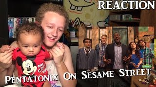 Sesame Street Pentatonix Counts amp Sings to Five  REACTION ft AJ Brown [upl. by Yeliw]