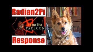 Response to Radian2Pis Utility History Parecon  Radical Reviewer [upl. by Mark]