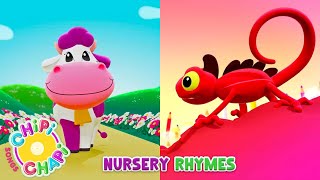 Nursery Rhymes For Kids  Learning Videos  Compilation  07  Chipi Chapi  YO Kids Rhymes [upl. by Jonie55]