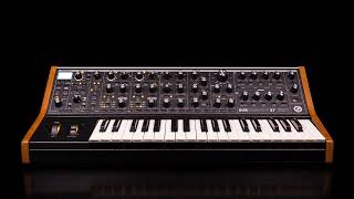 Moog Subsequent 37 Factory Presets [upl. by Ettevahs95]