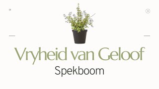 Vryheid I Vryheid van Geloof Spekboom [upl. by Lertnom731]