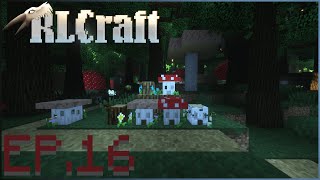 RLCraft in 2024 EPISODE 16 [upl. by Ayote132]