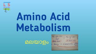 Amino Acid Metabolism  Protein  Biochemistry  Malayalam [upl. by Isyed]