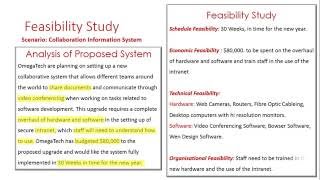 Feasability Study [upl. by Yeldahc681]