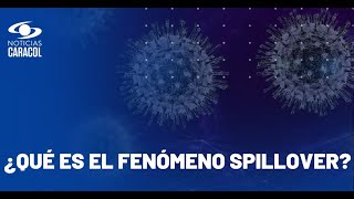 Alerta de la OMS por otra posible pandemia incluso más peligrosa que el COVID [upl. by Greenebaum]